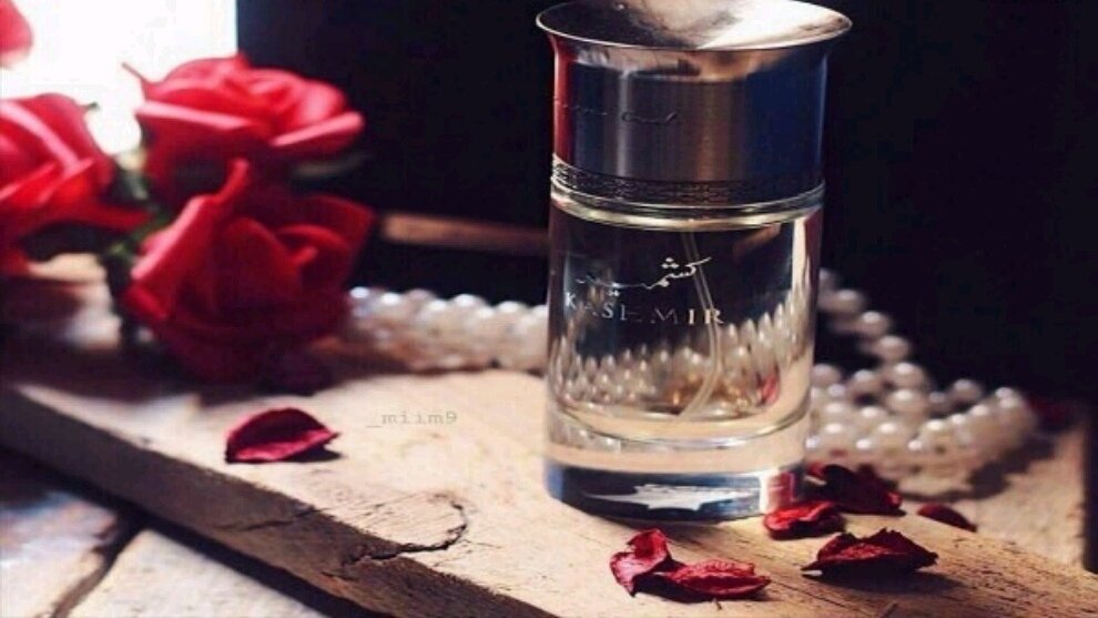 🦋💕

فيك العطور تغار من نفحة العــود
وانته جمالك سحر ومشاهدك ويل

تدري وش الابداع ؟ نظراتك السود
تجمع بريق الصبح مع ظلمة الليل

🦋💕