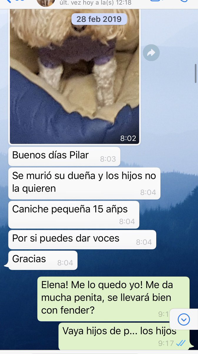 Pilar Eyre tweet media