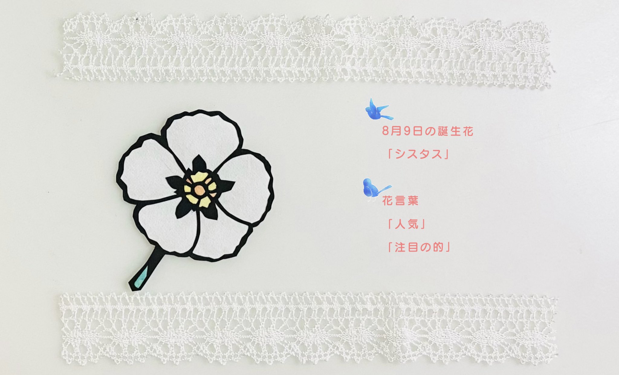 ふわりん にひゃくさんじゅういちりんめ 8月18日の誕生花 トルコキキョウ を切りました 花言葉は すがすがしい美しさ 優美 希望 です 本日がお誕生日のフォロワー様 いらっしゃいましたら おめでとうございます ﾉ