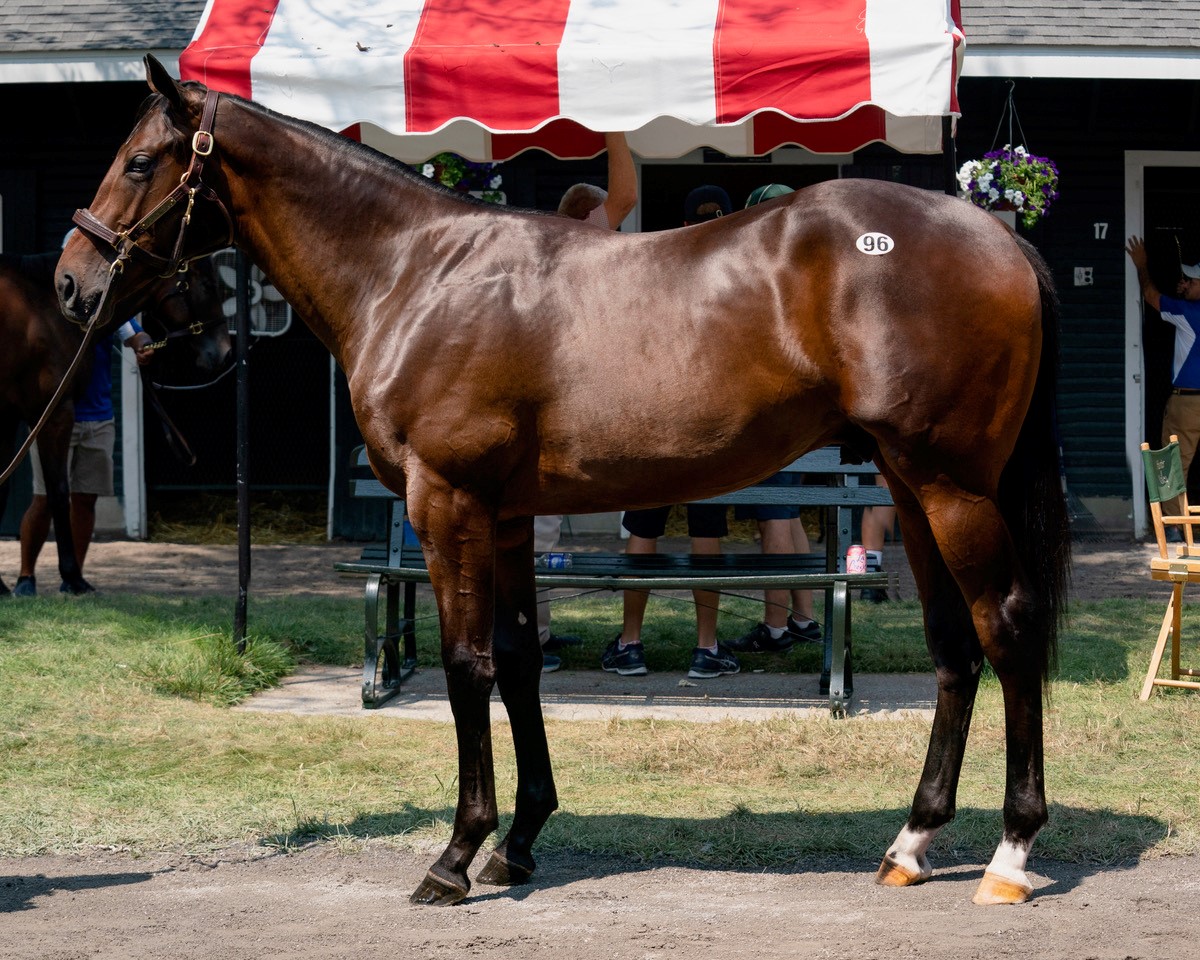 HunterValleyKY's tweet photo. Selling  T O N I G H T  at the 100th @FasigTiptonCo Saratoga Sale for #HunterValleyFarm 

⭐️Hip 15 - Quality Road / Unbridled Mo 20
⭐️Hip 96 - City of Light / Flattermewithroses 20 https://t.co/rccEsMwiUn