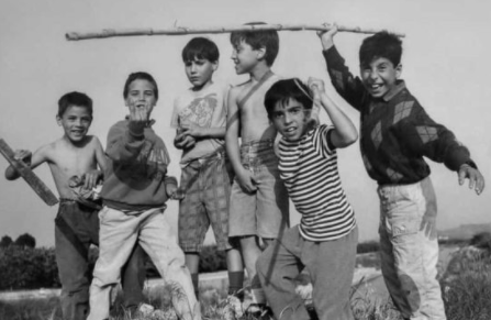 PliegoSuelto's tweet photo. Unas recomendaciones aptas más allá del verano: "Raras, radicales y rebeldes" de @Carlos_Cubeiro, " El buen padre" de Nadia Hafid, "Sofoco" de Laura Ortiz Gómez, "Tengo miedo torero" de Pedro Lemebel, "Jávea" de @elblandina, "Vivir abajo" de Gustavo Faverón... https://t.co/1wSBBXzDpJ