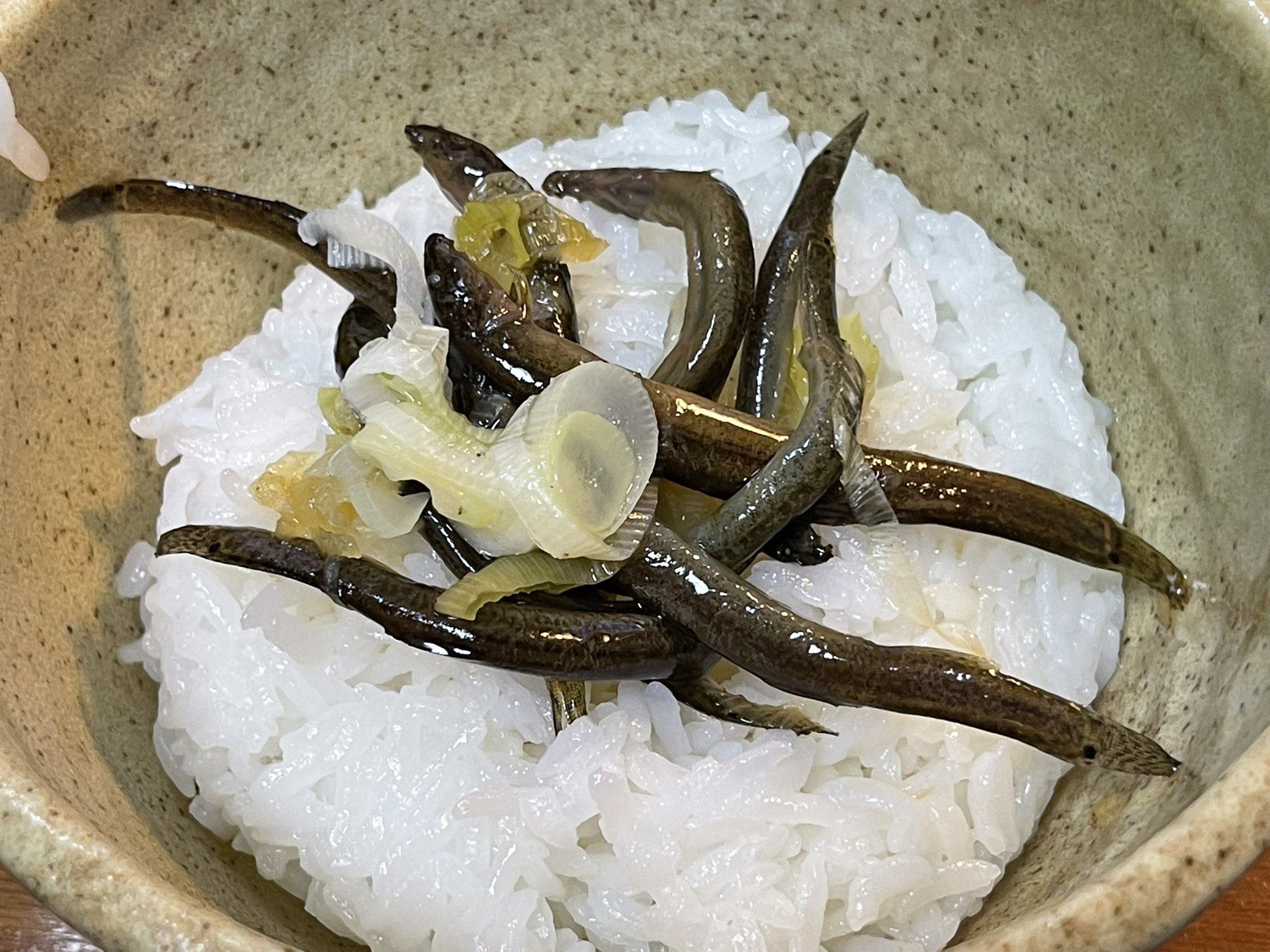 みなせ 今年はカミツキガメ取りに行けない ネギ一本分を どじょうに上に入れ T Co E0ndctjyzi Twitter
