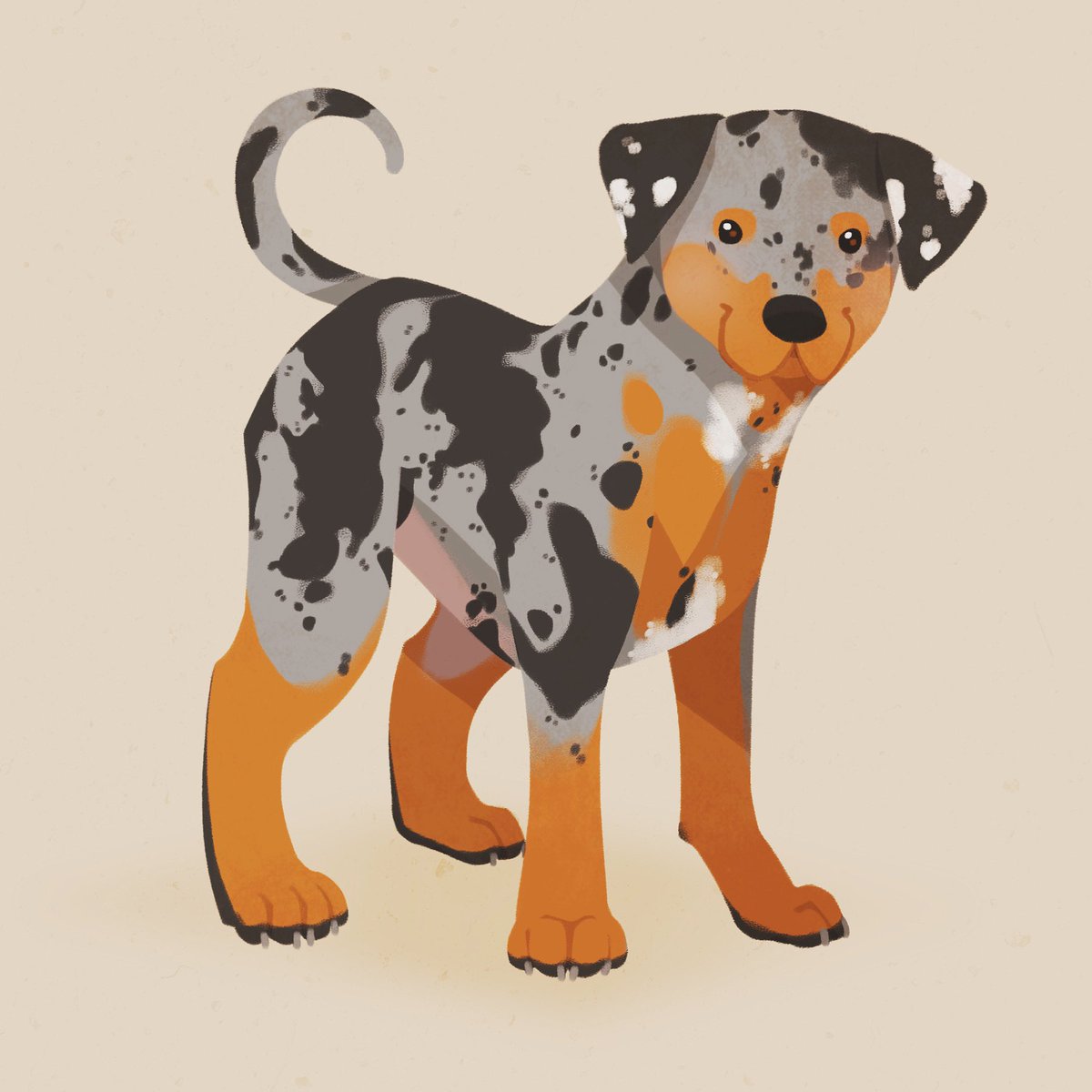 Day 9 of #Doggust it’s the Catahoula Leopard Dog! 

#doggust2021 #dog #dogs #doggo #art #ArtistOnTwitter #digitalart #digitalillustration #illustration #pet #petart #catahoulaleoparddog