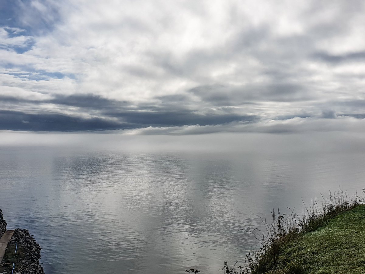 LKGallacher's tweet photo. Nice swim in the fog this morning, half an hour later the clouds had lifted. No jellies, just one crab scuttling underneath me #wildswimmingatitsbest https://t.co/XAMcJX9U4e