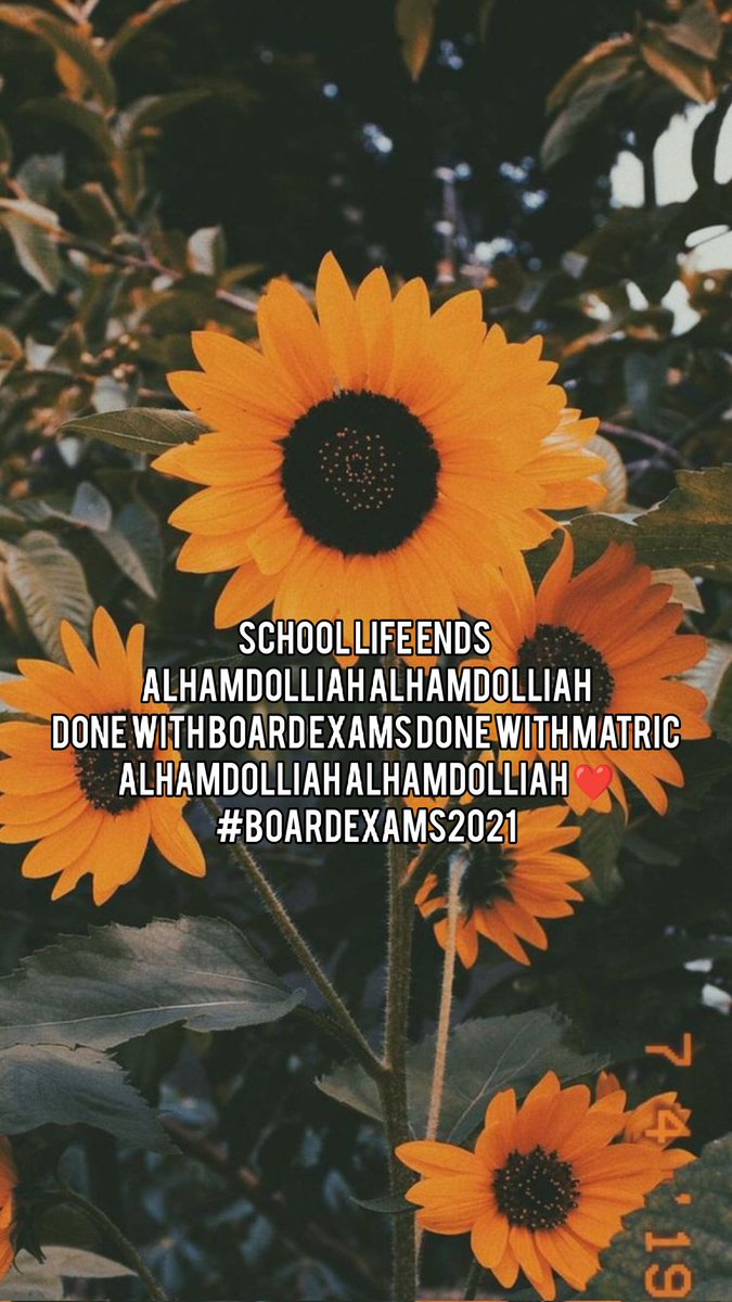 School Life Ends Alhamdolliah Alhamdolliah Done With Board Exams Done With Matric Alhamdolliah Alhamdolliah ❤️
#boardexams2021