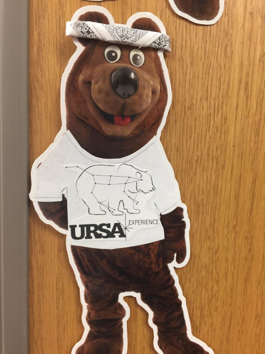 BearsFamilies's tweet photo. One week until Ursa! So excited! #FlatBoomer is putting the finishing touches on everything this week, getting ready to make lots of new friends and have lots of fun! @MSUursa @DeeSiscoe https://t.co/Kxhub29Lok