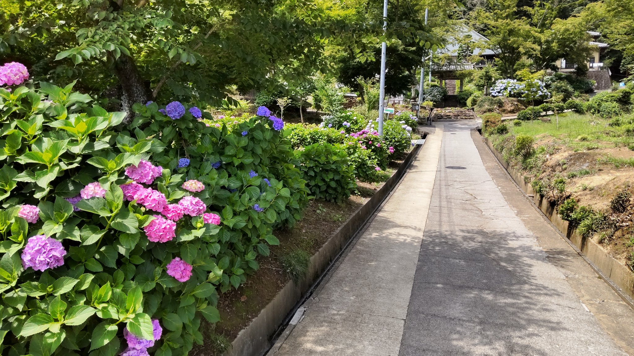 日本花名所千景 Japan87flower Twitter