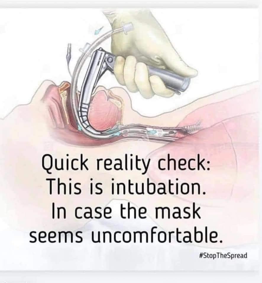 Blue (@blugoddessrocks) on Twitter photo 