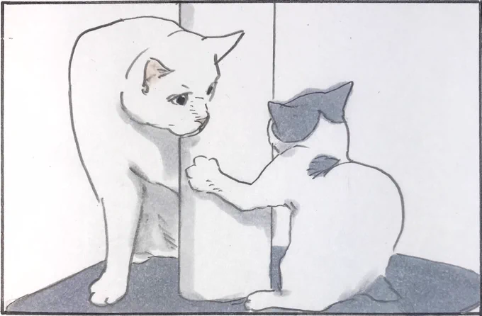 『新たな敵⁉︎』 