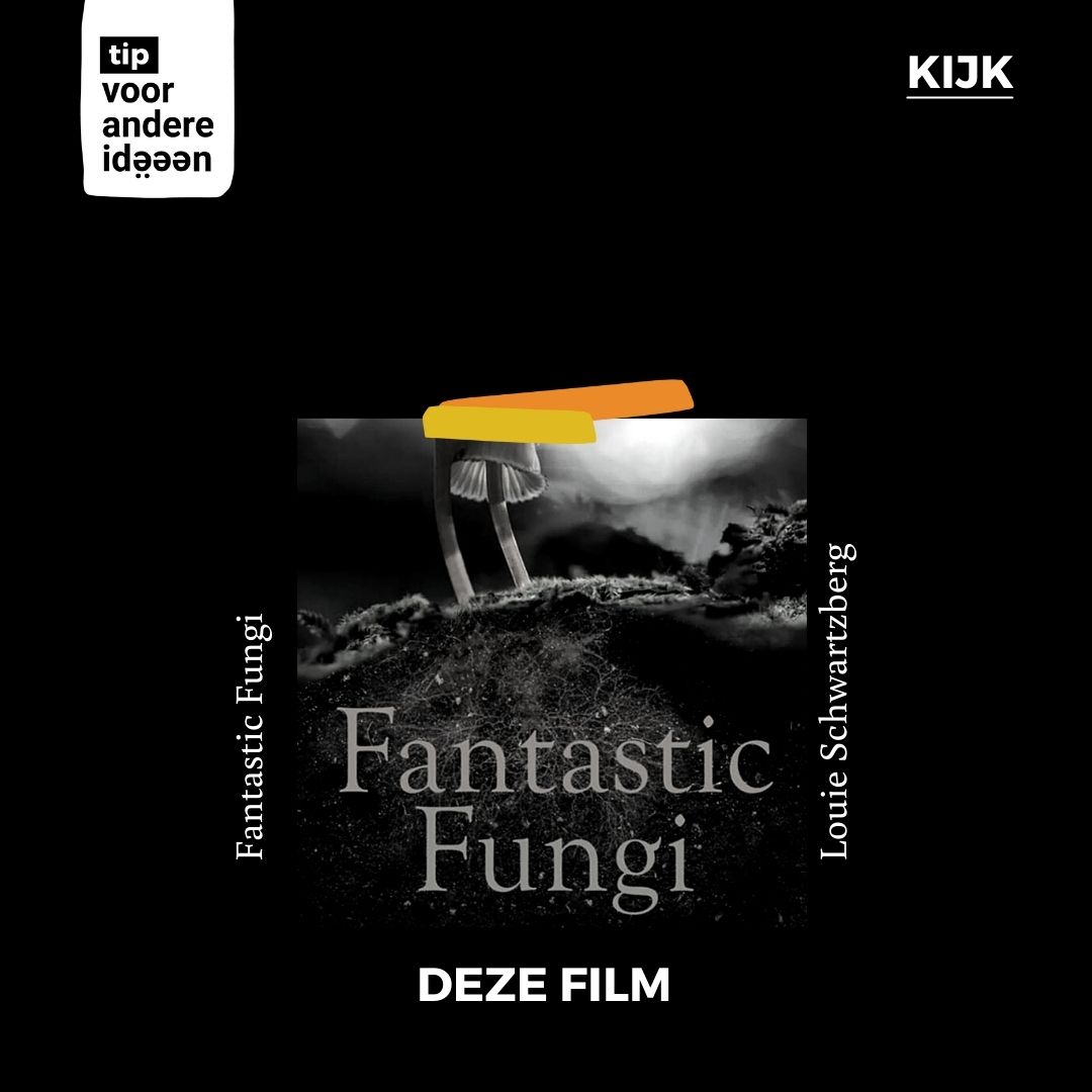 Oh! Fantastic Fungi, ook wel 'The Mushroom Movie'. Kijken. Als je het ons vraagt...🍄💫
Er ligt een fascinerend rijk onder onze voeten, niets minder dan een magische wereld. Ga je mee op reis? Gordijnen dicht, kaarsjes aan en laat je verwonderen door de kracht van de natuur.