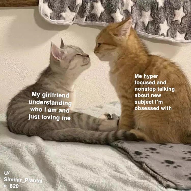 WholesomeMeme's tweet photo. https://t.co/InwO7xrz2E
