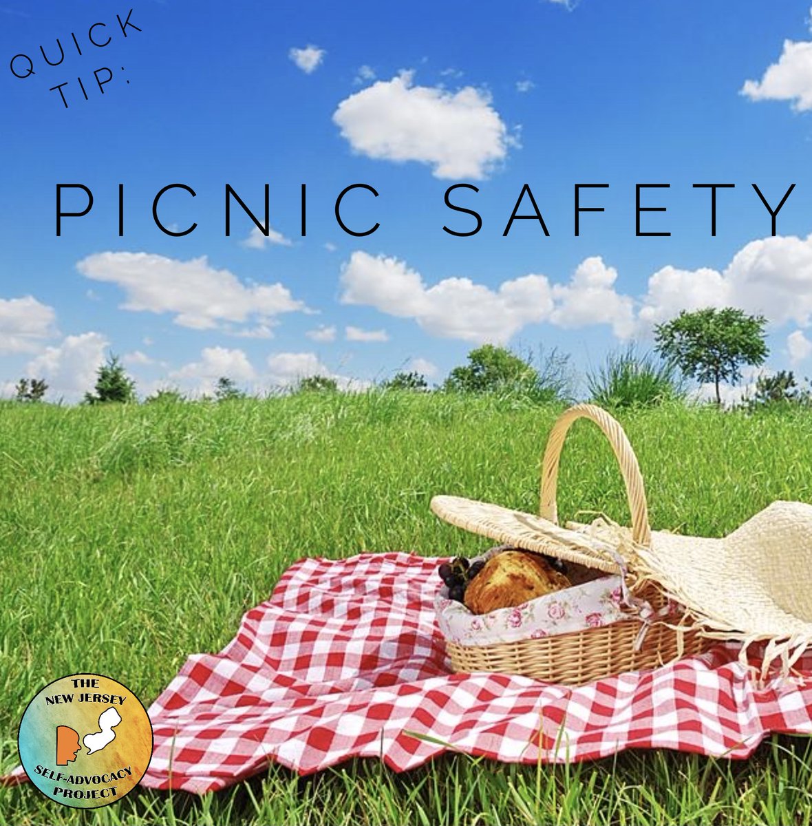 njsap's tweet photo. Picnics can be so much fun! Follow along on our Facebook or Instagram to learn about how to have a wonderful, relaxing, and safe time out in nature! ☀️☀️#HealthyLifestylesProject #healthylifestyles #picnictips @HZNFoundation @thearcofnj https://t.co/qfz2TC3xV1