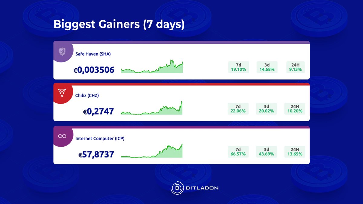 Bitladon tweet media