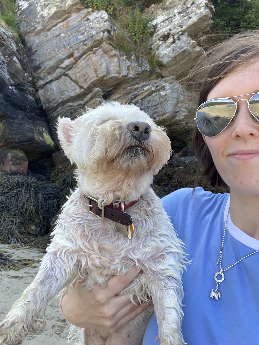 JustaBitDipsy's tweet photo. #Skittles the westie, fly high and I will see you again 💔 #UntilWeMeetAgain https://t.co/FOaw7hF9rt