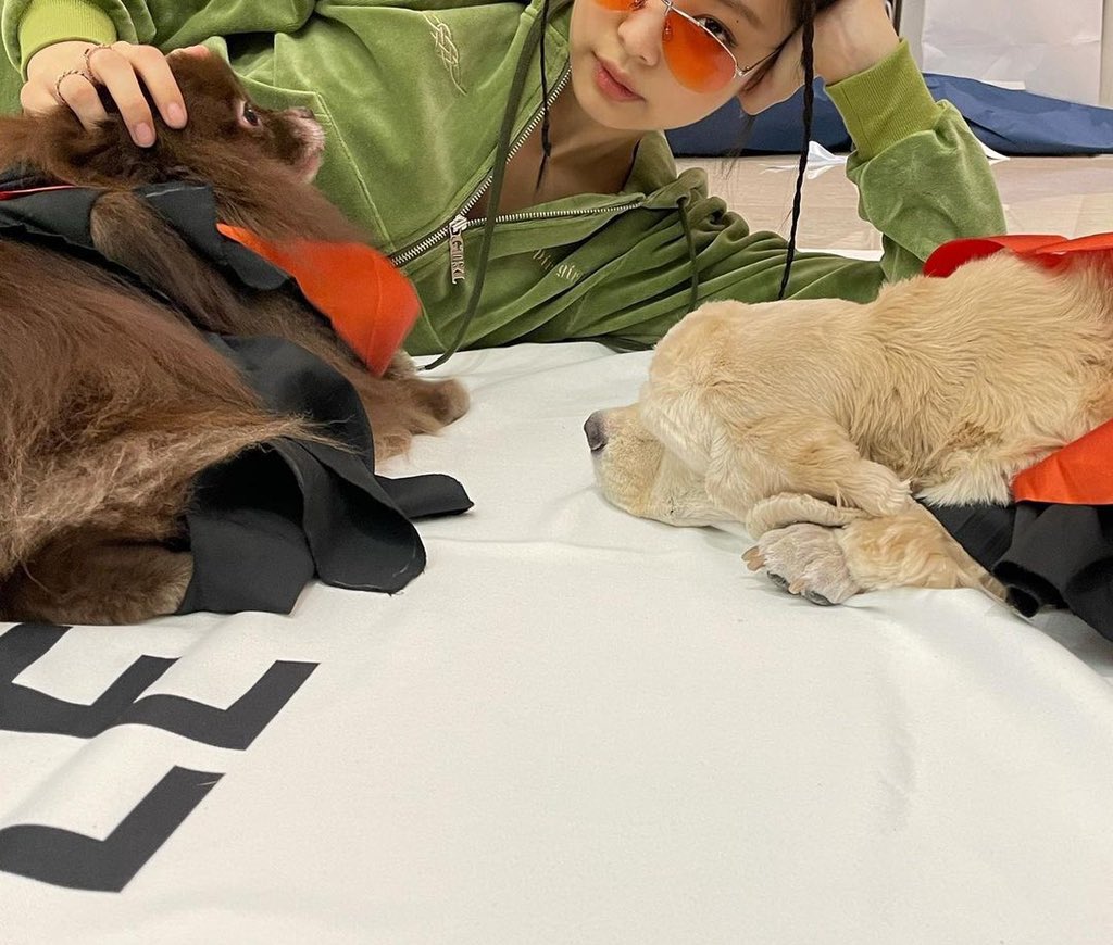 JENNIE KIM I CAN BARK TOO!!