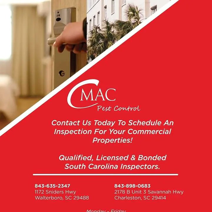 CmacPest's tweet image. 