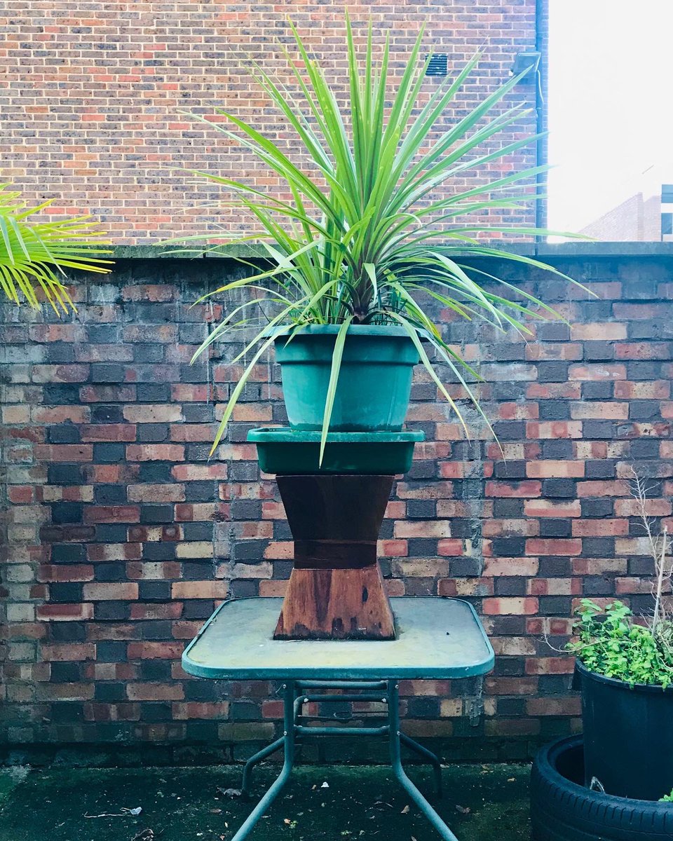 David Falkner’s limited edition sticker, Pedestal I, can be seen in the window of Sunrise, St John’s Street. Visitors can ask inside for one of the edition, along with a groving booklet. Words by <a href="/LynnyWhitehead/">Lynn Whitehead</a> &amp; <a href="/EdArantus/">Ed Arantus</a> 
#groveprojects #StreetArt #monument