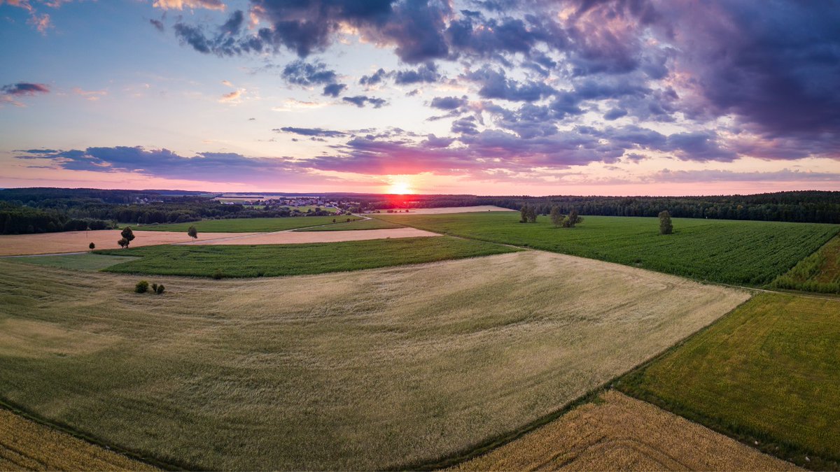 SOILGUARD_H2020's tweet image. A recent study states that the landscape should be a mosaic of natural habitat and small-scale, diverse cultivated areas to promote biodiversity

SOILGUARD is looking at how soil biodiversity is affected by land management practices

Read the study here:
👉bit.ly/3xxXC7f