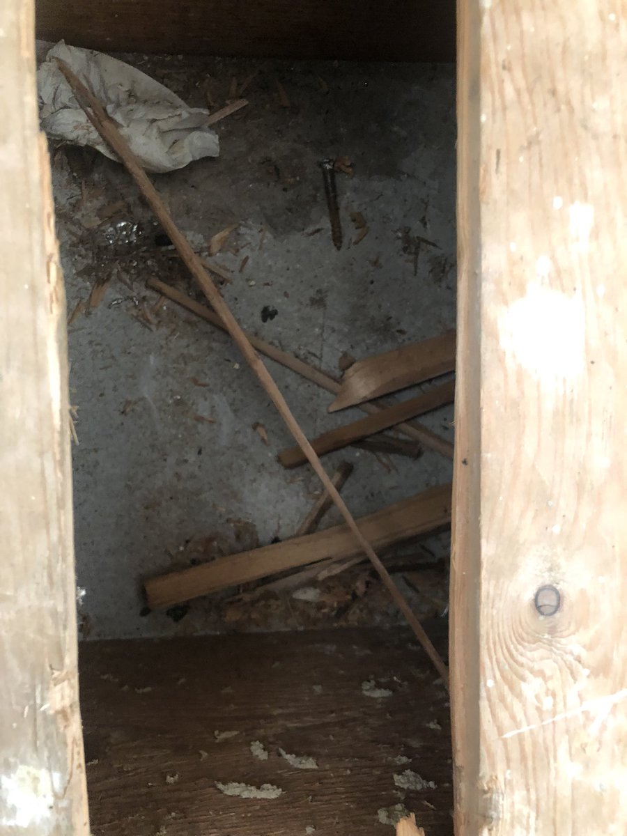 This Is Asbestos tweet media