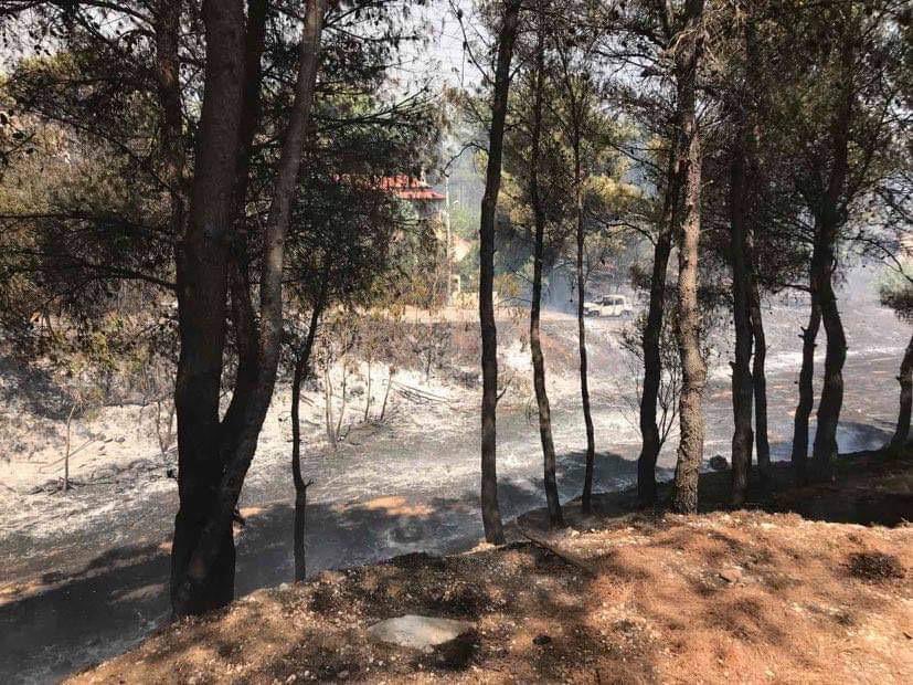 KateTatani's tweet photo. All forest streams in Kryoneri, my hometown in Greece, were completely destroyed by forest fires last week. The last picture in this post is right in front of my house. I am absolutely devastated - any support would be greatly appreciated, please see below for more information https://t.co/sxf6Zbxdye