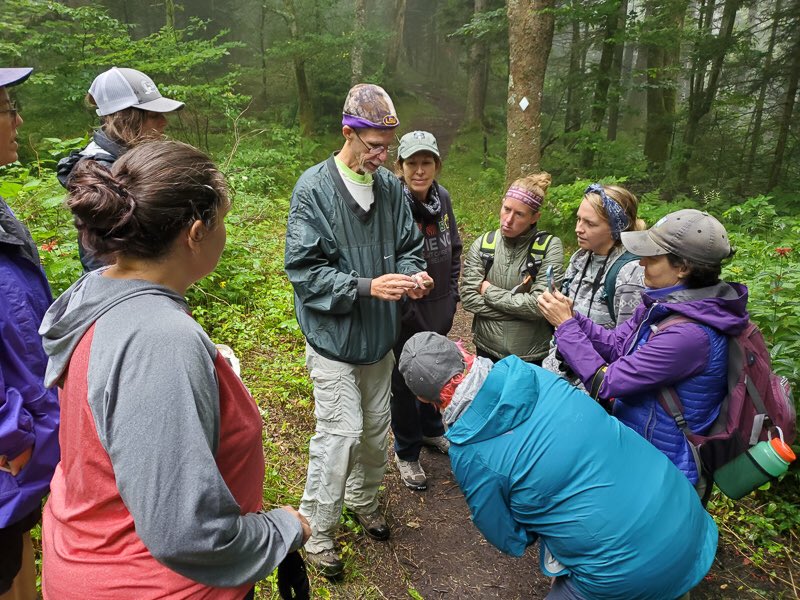 ANDscience4eva's tweet photo. had the best time wondering the forests of western NC with some awesome educators around the state ~ this opportunity is giving me some big ideas for this year 🏕💚 #NCMNS #nature #stem https://t.co/rkL1JZQsSx