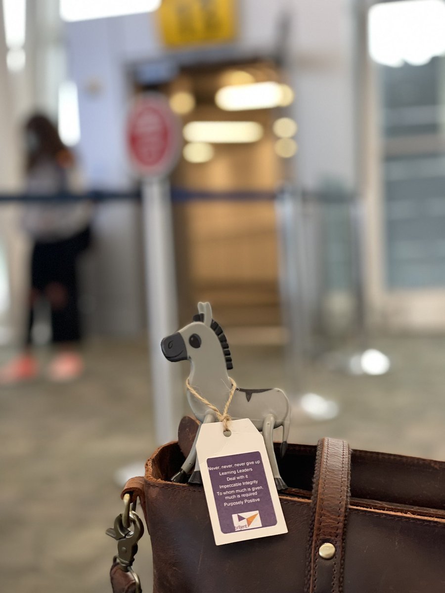 On my way to #HIMSS21 If you’re attending and want to meet up, let me know!  

#BriljentNNI #HIE