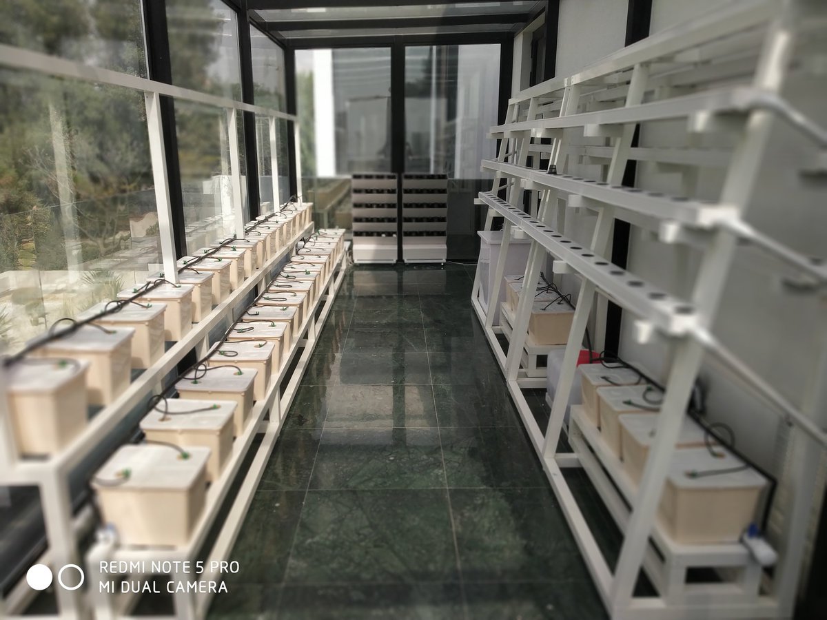 DrAyya94's tweet image. 😍😍😍

#ProjectReality