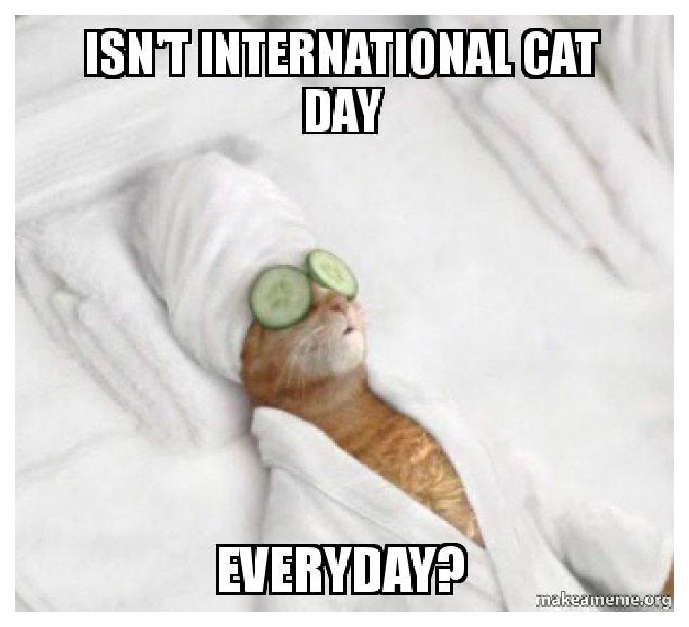NeosSmartHome's tweet image. Happy #InternationalCatDay 😸 furgive us for missing it yesterday but we have it on good authority that everyday is #Caturday! How do you celebrate your feline friends? 😽🤗