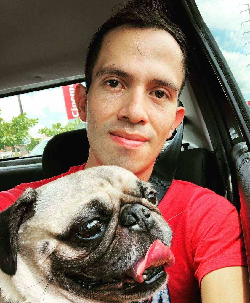 danytwit's tweet photo. Fuimos a comprar unas carnes para asar ๐ฅฉ
.
.
#picoftheday #picnic #carneasada #puglove #pugs #pugsofinstagram #pugfamily #pugfaces #pugface #pugride #horadelpaseoperruno #gayboy https://t.co/9g5P3vTmJj