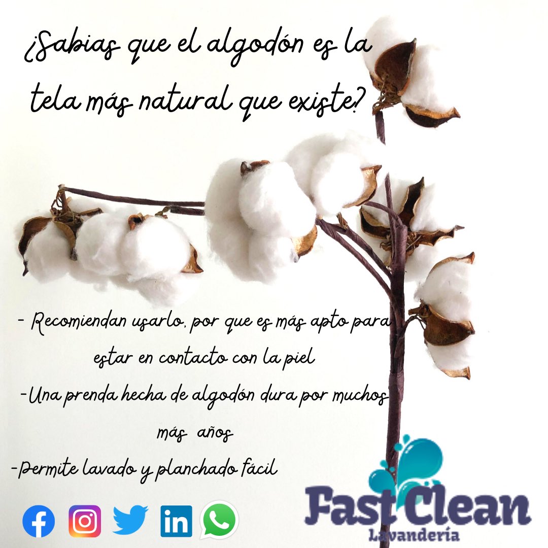 Además es una fibra natural muy suave al tacto, cómoda e hipoalergenica. #tela #algodon #consejos #fibranatural #hipoalergenico #telasuave #lavanderiafastclean