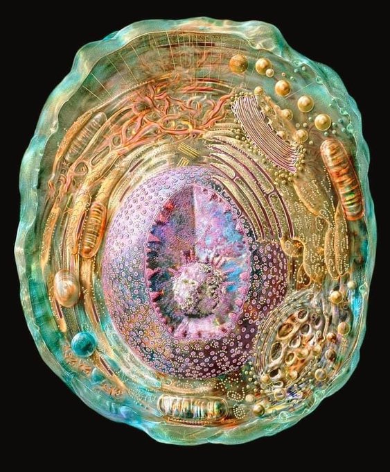 To date the most detailed human cell image obtained with X-ray radiation, nuclear magnetic resonance<a href="/tag/chemtrails"class="tags"><span>#chemtrails</span></a>