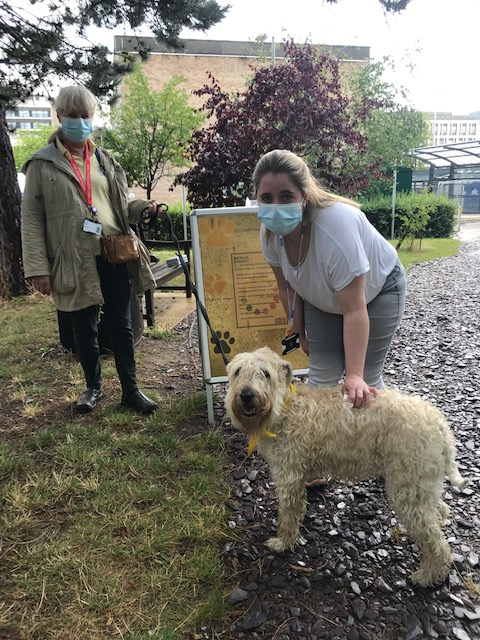 Volunteering at CUH (@cuh_volunteers) on Twitter photo So fabulous to welcome Paula and <a href="/PetsAsTherapyUK/">Pets As Therapy</a> dog Lola back to <a href="/CUH_NHS/">Cambridge University Hospitals NHS</a>. Helping to support staff wellbeing by providing a lunchtime cuddle, Lola will be back every Monday to say hello. If Monday's are 'im-paws-ible', say hi to <a href="/PetsAsTherapyUK/">Pets As Therapy</a> dog Pablo on Wednesdays. So fabulous to welcome Paula and <a href="/PetsAsTherapyUK/">Pets As Therapy</a> dog Lola back to <a href="/CUH_NHS/">Cambridge University Hospitals NHS</a>. Helping to support staff wellbeing by providing a lunchtime cuddle, Lola will be back every Monday to say hello. If Monday's are 'im-paws-ible', say hi to <a href="/PetsAsTherapyUK/">Pets As Therapy</a> dog Pablo on Wednesdays.