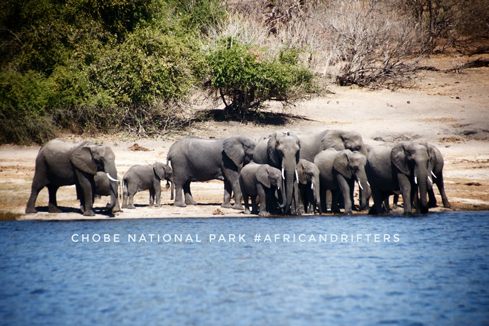 BWGovernment's tweet photo. GOOD MORNING BOTSWANA 

Picture taken at Chobe National Park by #africandrifters 

#MagicalBotswana https://t.co/J9hwqKG9ZV