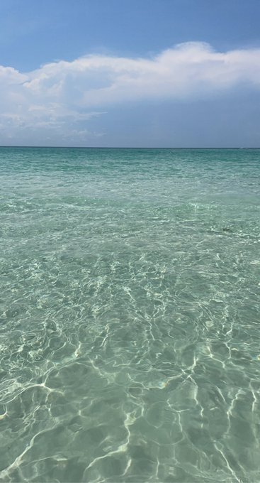 Vacation vibes ☀️👙🌊 https://t.co/zMih5yooiz