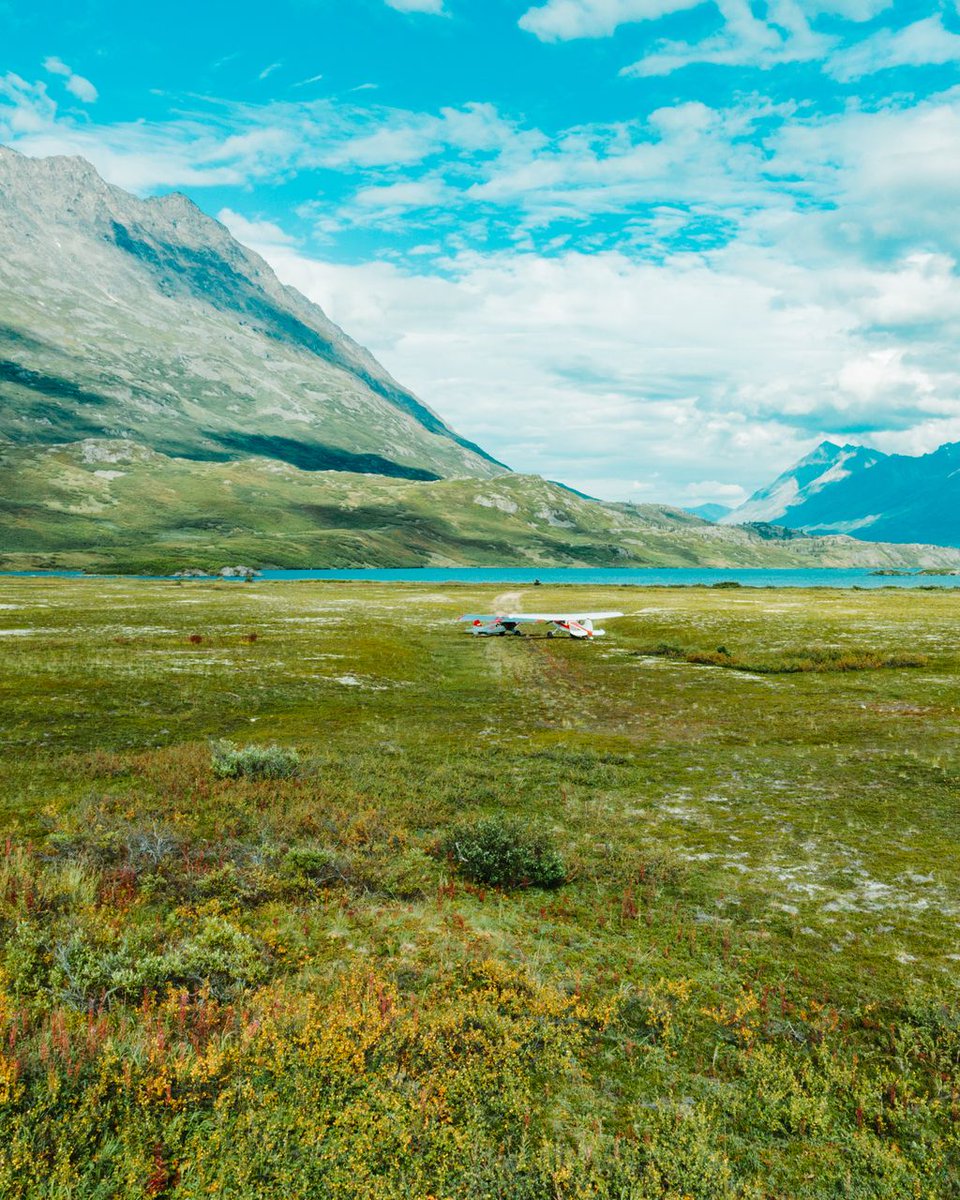 Found a nice spot to relax and do a bit of berry picking! ✈️ 
.
.
.
.
#FLY8MA #FlightTraining #Aviation #LearnToFly #StudentPilot #PrivatePilot #CommercialPilot #BushPilot #BerryPicking #Flying #Airplane #Aircraft #FlightSchool  #CFI #CertifiedFlightInstructor #Alaska