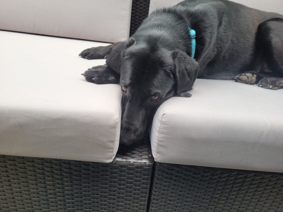 C. Farquhar 🇨🇦🍁🌸😷💉 tweet media