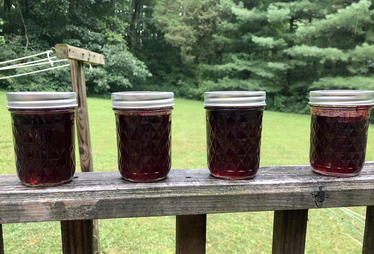 Blackberry jelly on a rainy day.
