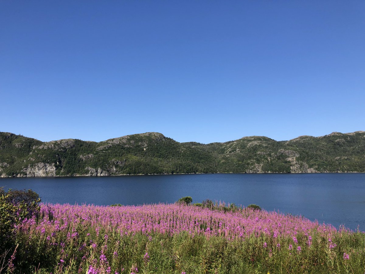 sktobin's tweet photo. Cook’s Lookout in the beautiful town of Burin. Such a wonderful hike. #Newfoundland #hikedabootchallenge #BPtrailschallenge #hikenl #nlwx https://t.co/SugLZCM86g