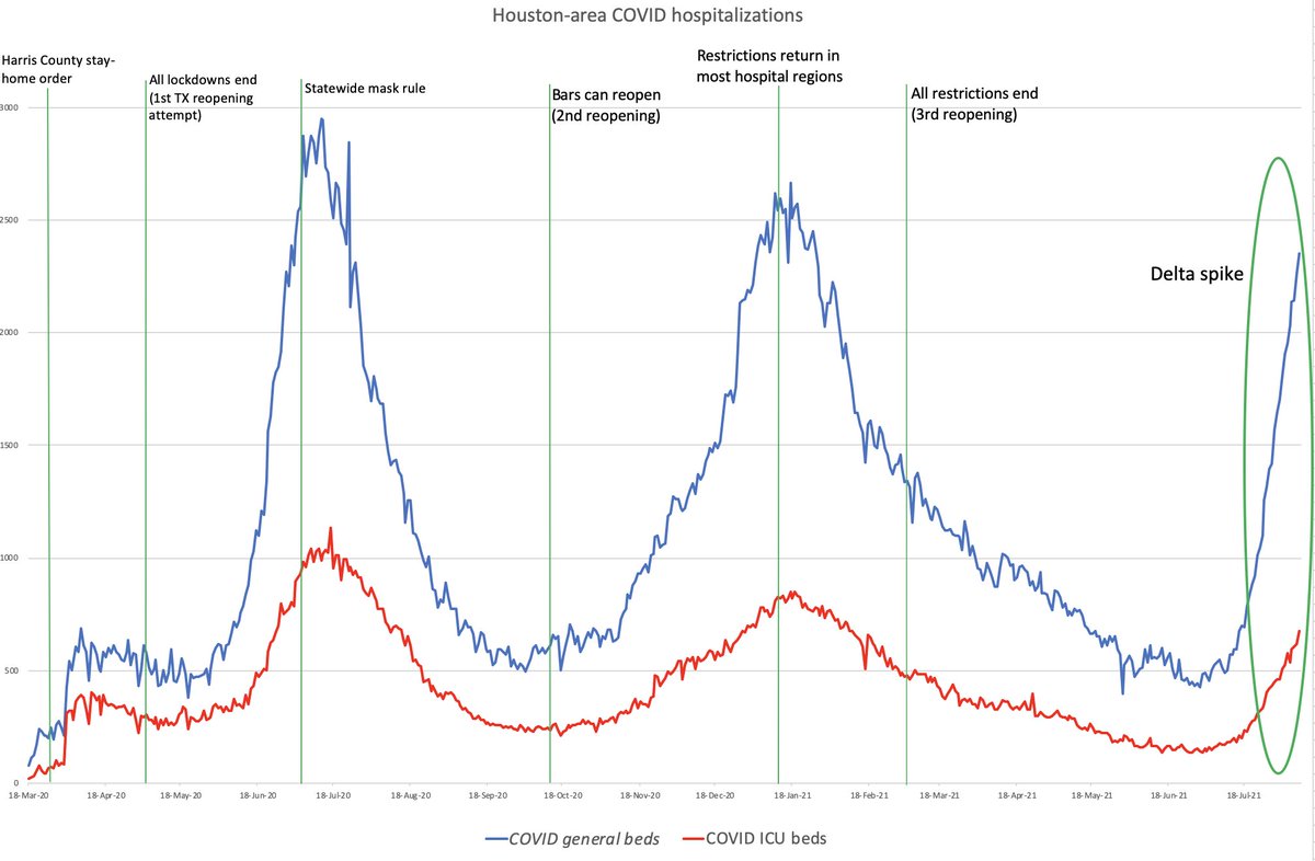 zachdespart's tweet image. Houston region COVID hospitalizations ⬆️ for a record 24th day, passing 3k for first time since January.
These 25 counties (pop. 6.2 million) reporting 33 open ICU beds, the lowest number at any point during the pandemic.
Few signs this growth will stop soon.
