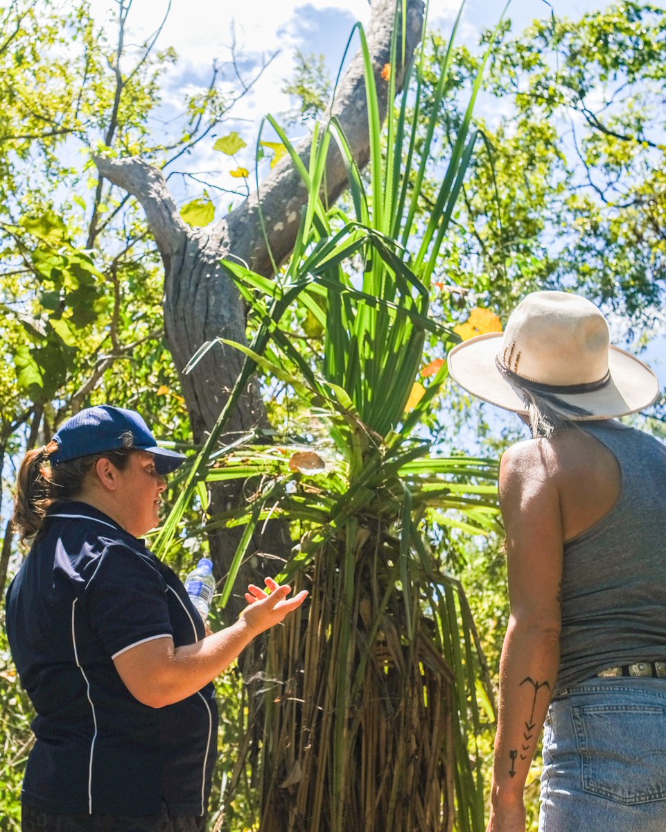 contiki's tweet image. Here are some of the Indigenous owned and operated organisations around the world that we include on our itineraries as MAKE TRAVEL MATTER® experiences for this #IndigenousPeoplesDay

bit.ly/3ijQ6ro