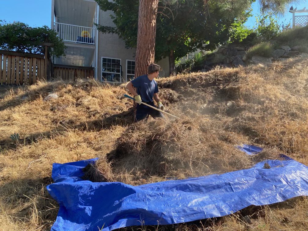 PentictonFire's tweet photo. Penticton’s #FireSmart team out in the community assisting with fuel mitigation. As you know wildfire season is here and it’s time to #GetFireSmart. What have you done this year to reduce your risk to #wildfires? https://t.co/GxBpYQ3JEE