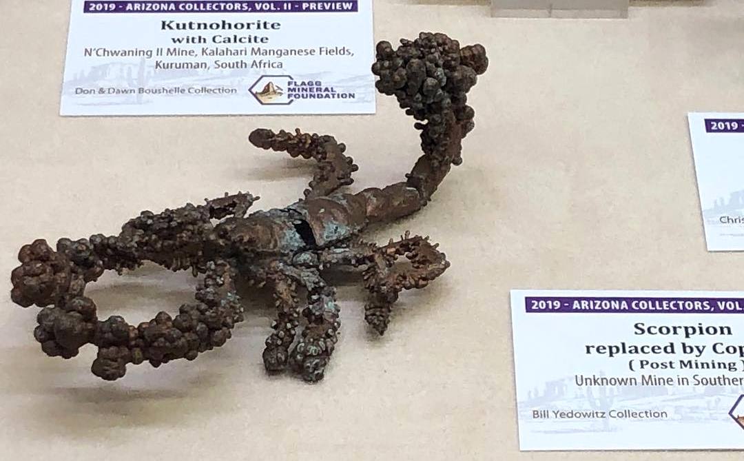 Scorpion replaced by copper! Nature is amazing!

Photo: T. Crowder Collection

#minerals #crystals