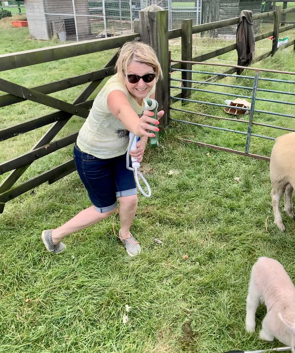 ClockLambo's tweet photo. We got wormed. Frau Ewe had a horrid device that she pretended was a gun. None of us were laughing. Frau and Mr Ewe were not laughing when James decided to opt out by going through the fence. She muttered a lot about “Thank God that’s over!” Hoomans! #sheep #lamboclock #animals https://t.co/JgnnNNbZZb