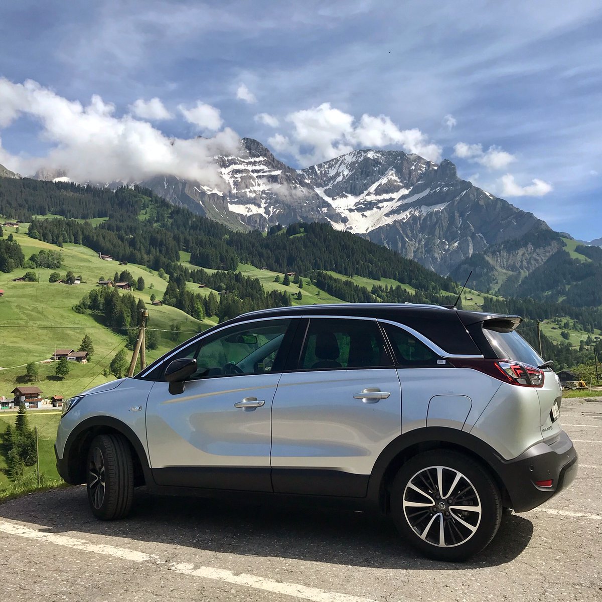 MarcellaTweet tweet media