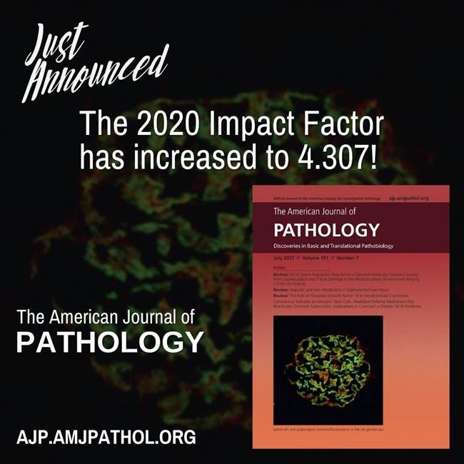 #ICYMI- the 2020 #ImpactFactor for <a href="/AJPathology/">The American Journal of Pathology</a> went up!  Submit your #pathogenesis research to AJP today: editorialmanager.com/ajpa/default.a…