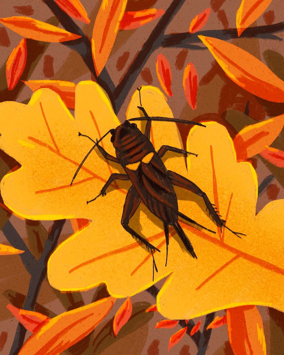 UsFolk (@usfolk_) on Twitter photo Another lovely commission for <a href="/UKRI_News/">UK Research and Innovation</a> ! This time @sonnyrossdraws illustrated a colourful selection of natures finest insects, as part of UKRI's series for 'Insect Week' โจ ๐ ๐ ๐ฆ โจ #illustration #illustrator #usfolkillustrate Another lovely commission for <a href="/UKRI_News/">UK Research and Innovation</a> ! This time @sonnyrossdraws illustrated a colourful selection of natures finest insects, as part of UKRI's series for 'Insect Week' โจ ๐ ๐ ๐ฆ โจ #illustration #illustrator #usfolkillustrate