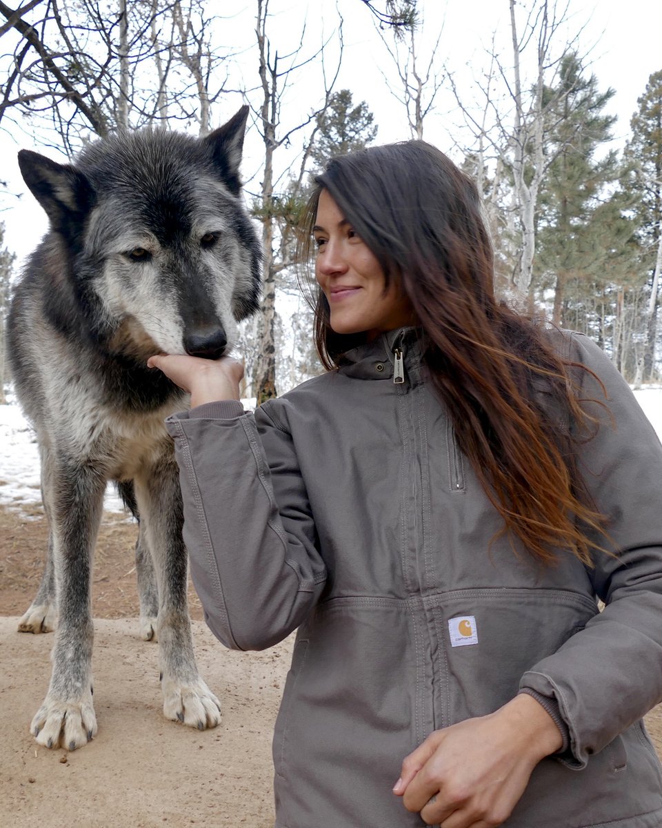 Carhartt's tweet photo. Kelly Yazdi is an outdoor enthusiast, stuntwoman, and member of the Polaris Empowersports Women's Council. Head to our IG stories today as she shares a first-hand look at the world-famous Wild Gypsy Tour: https://t.co/5WYqmbPLkz #FriendsofCarhartt #WomenWhoRide https://t.co/5p2stIMCUk
