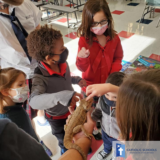 Catholic Schools - Archdiocese of San Antonio tweet media
