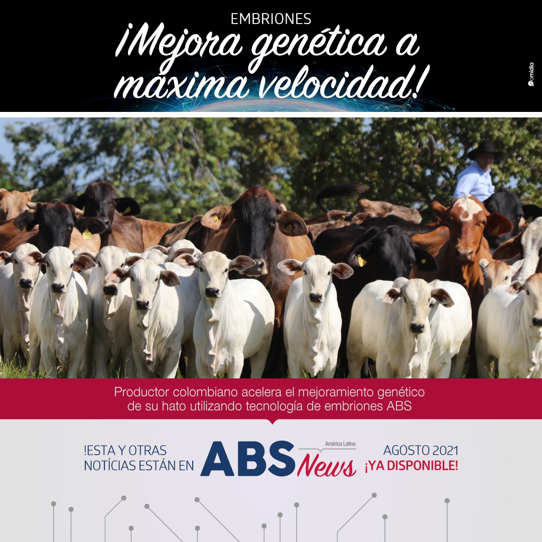 ABSLatinAmerica's tweet photo. ¡En Colombia, ya se celebran resultados sorprendentes utilizando la tecnología de transferencia de embriones ABS. Conozca las historias de éxito en ABS News América Latina, ya disponible en nuestro sitio web: https://t.co/v3ytyP5Y7F

#ABS https://t.co/JRKU9a7HTA