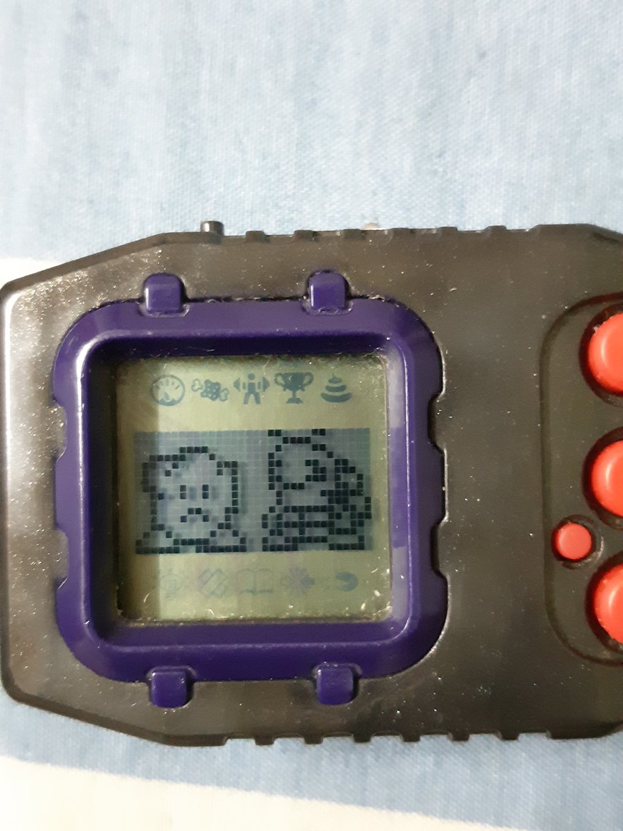 phirmon's tweet photo. Presenting, Gotsumon &amp; Tentomon.  Let's hope they two can get along 
#digimon
#pendulum20th
#digitalmonster
#デジモン https://t.co/jPVZLcU6Jb